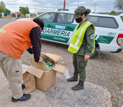 Un Colectivo Transportaba Encomiendas Con M S De Kilos De Hojas De