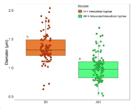 Box Plot Of The Diameter Measurements Of Intercellular Hyphae And Download Scientific Diagram