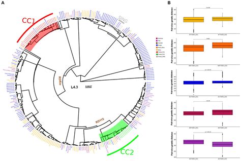 Frontiers Genomic Changes Underpinning The Emergence Of A Successful