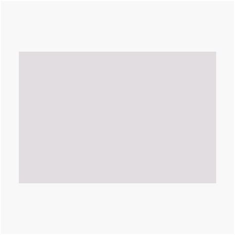 Pale Pastel Lilac Purple Solid Color Pairs 2023 Color Of The Year