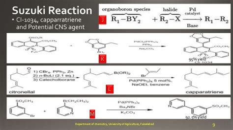 Suzuki coupling reaction