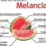 Melancia Comprida Características Benefícios e Nome Científico