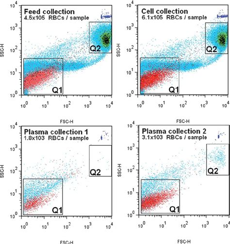 Dot Plots Of Fsc Vs Ssc Represent The Acquisition Of Flow Check