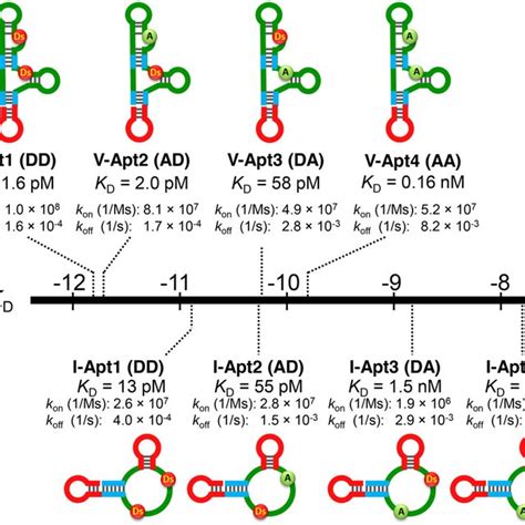 Molecular Affinity Rulers Distribution Of The Target Affinities Of The