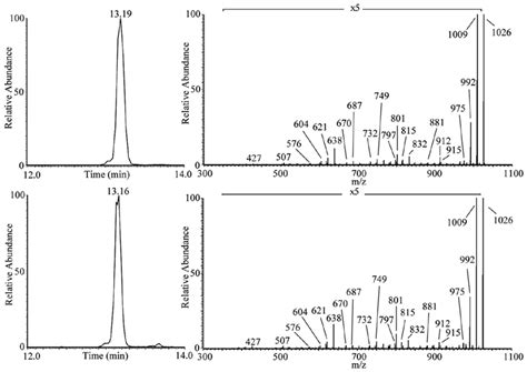 Lc Esi Ms Ms Analysis Of A And B Iturin A Standard And C And D