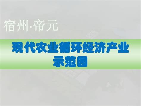 宿州汇报word文档在线阅读与下载无忧文档