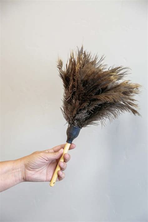 Ostrich Feather Duster Cleanit