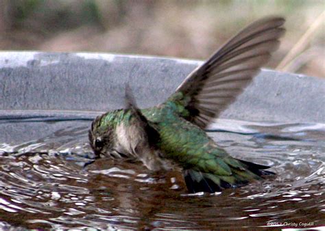 Links Naked Capitalism