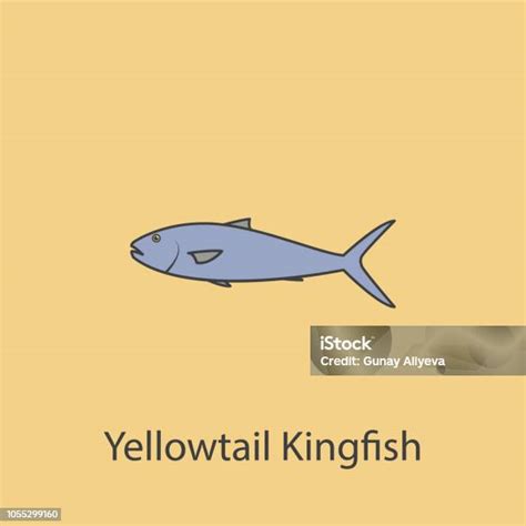 Yellowtail Kingfish 2 Colored Line Icon Simple Purple And Gray Element