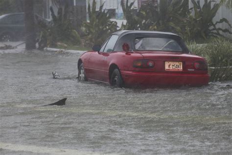 Appeals Court Allows Lawsuit To Go Ahead Over Fpl Outages During Hurricane Irma