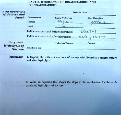 Solved Part B Hydrolysis Of Disaccharides And Polysaccharides Acid