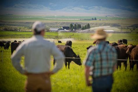 The Plant Based Movement To Transition Farmers Away From Meat And Dairy