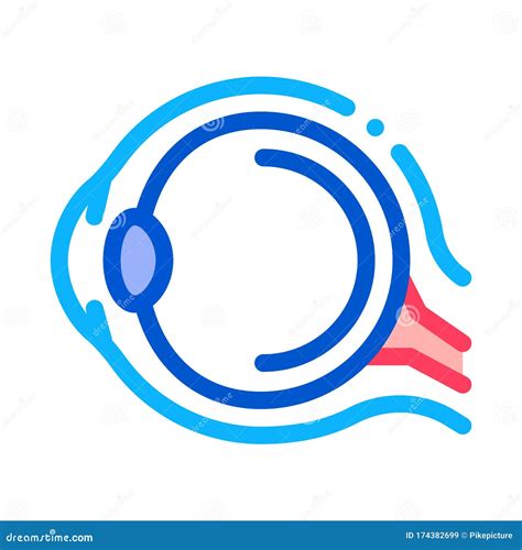 Human Eyeball Anatomy Organ Icon Thin Line Vector Stock Vector