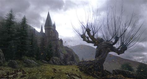 Hogwarts On Twitter Imagina Despertar Un D A Abrir Los Ojos Y Darte