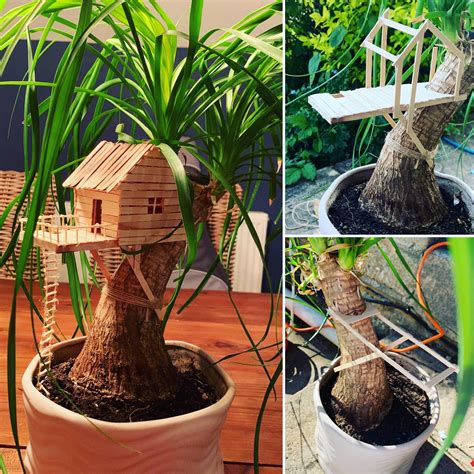 I Made A Miniature Treehouse For My Houseplant Today Never Made A