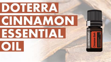 Cinnamon Essential Oil: Incredible Benefits And Uses – Anita Fincham ...