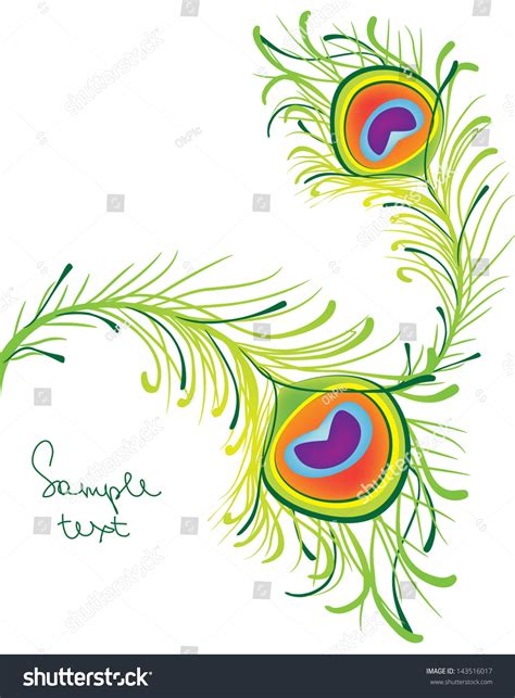 Peacock Feather Template Vector Stock Vector (Royalty Free) 143516017