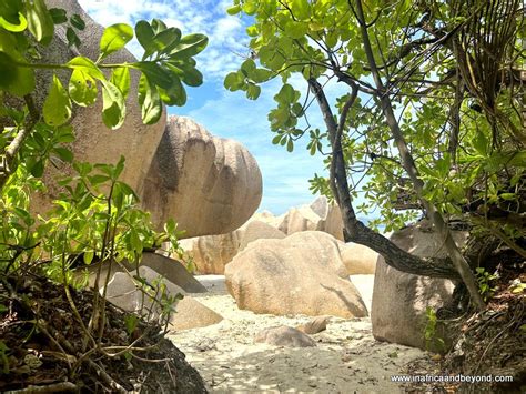 Best Things To Do On La Digue Island