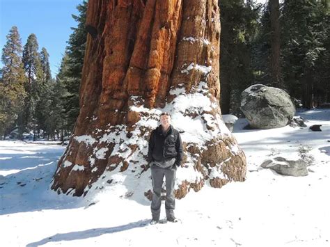 Hiking The Giant Forest In Sequoia National Park In March ...