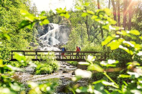 Nature in Sweden | Visit Sweden