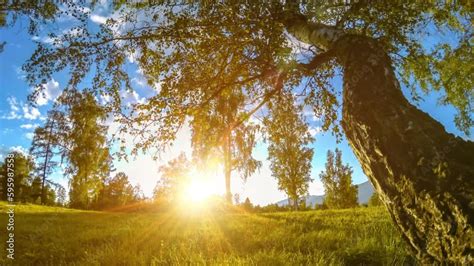 Mountain Meadow Time Lapse At The Summer Or Autumn Time Wild Nature