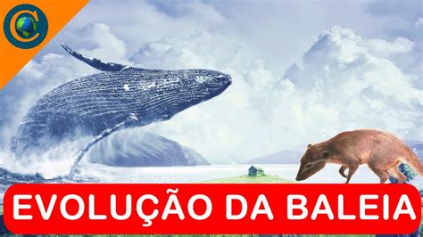 A Evolução Da Baleia