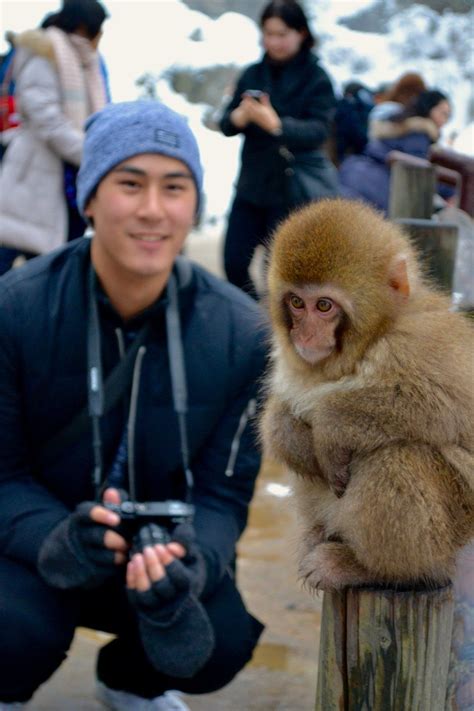 Jigokudani Snow Monkey Park Nagano Snow Monkey Park Monkey Park