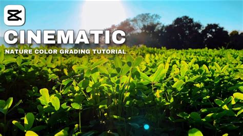 Mastering Cinematic Color Grading Elevate Your Videos With Pro