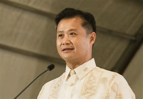 Pogo Big Boss May Have Ties To China Triad — Gatchalian