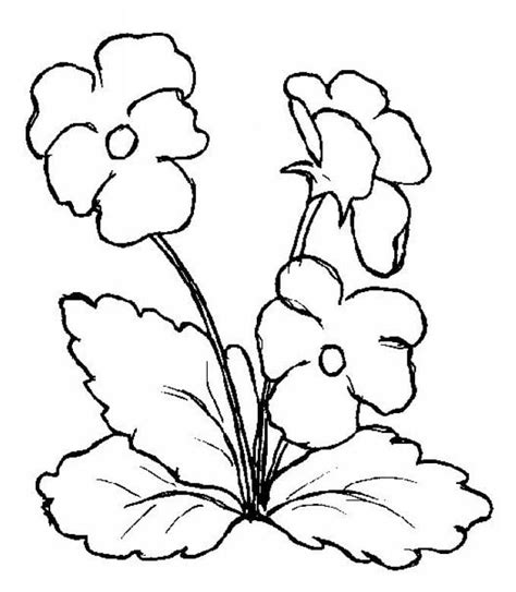 Pansy Printable Coloring Page Free Printable Coloring Pages For Kids