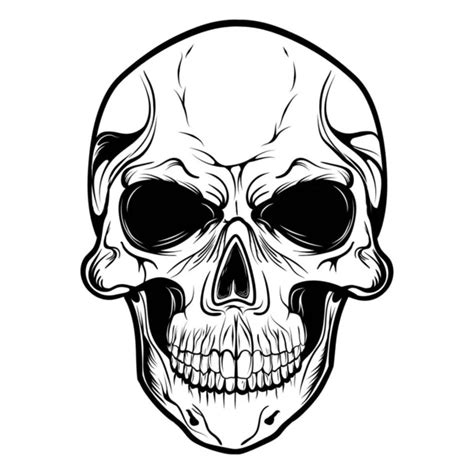 Black White Vector Illustration Human Skull Lower Jaw Isolated White Stock Vector Image By