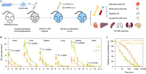 「砒霜抗癌」为何再登 Nature 子刊？靠这项新技术，中国科学家让治疗效果更上一层楼生物探索