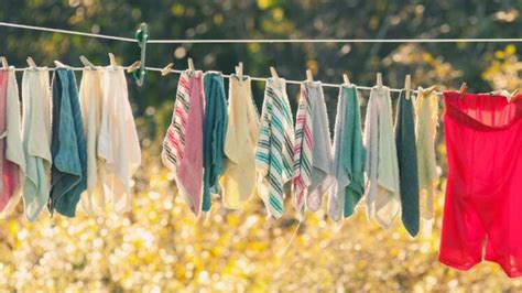 Quelle Est La Meilleure Corde Linge R Tractable Comparatif