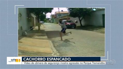 Cadela Filmada Sendo Agredida Rodo Passa Por Exame De Corpo De