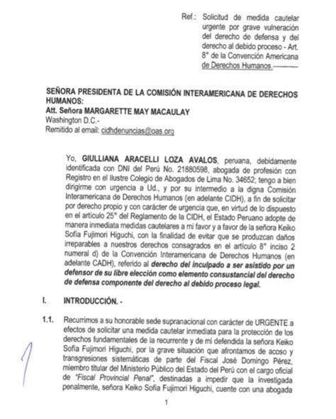 Solicitud De Medidas Cautelares Urgentes Modelo Jur Dico F Cil