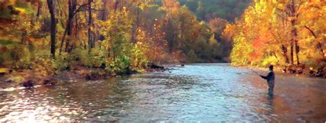 Alleghany County - Fish Virginia First Fishing Holes