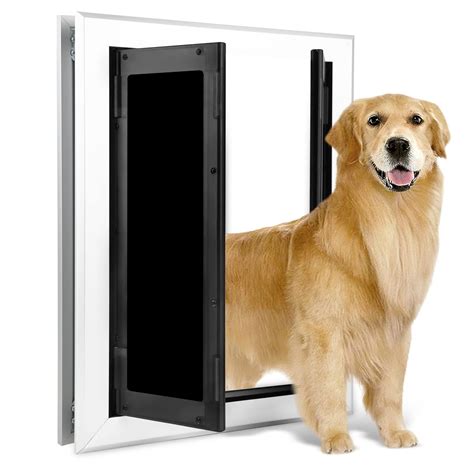 Dog Closing A Door