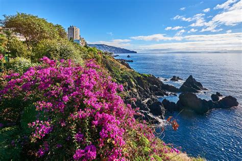 Madeira Porto Santo Verano 2024 Salida Desde Oporto