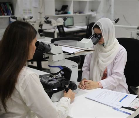 Chughtai Lab Leading Pathology Lab In Pakistan