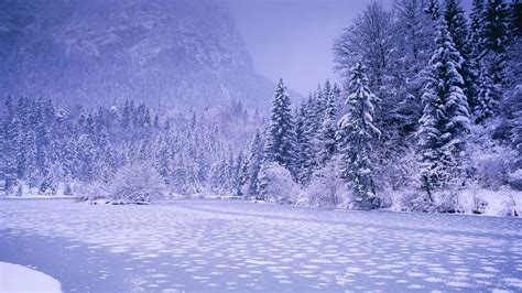 Winter Nature Wallpaper 74 Images