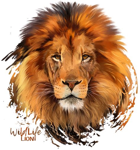 Lion Png Transparent Images