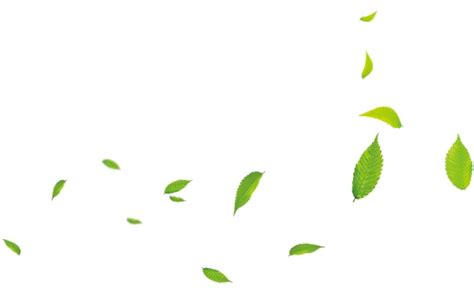 Green Leaves Nature Background and Falling Foliage Clipart | PNG All