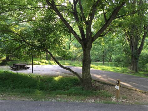 Zilpo Campground Daniel Boone National Forest Campground Views