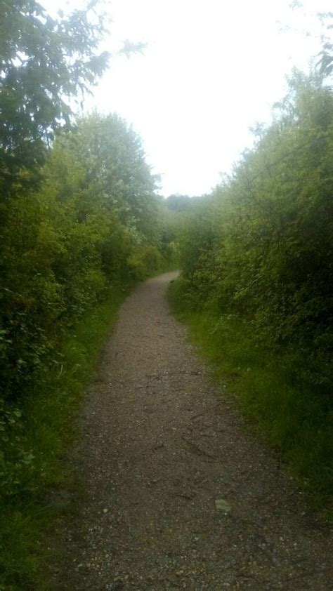 Path Leading Into Warren Gorge Adrian Benn Geograph Britain And