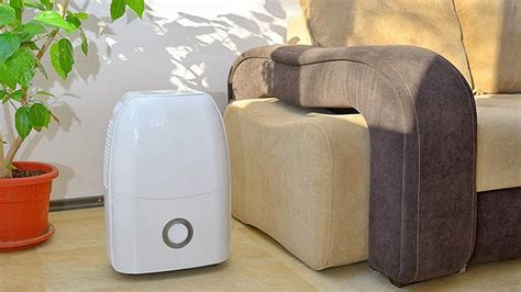 Best Dehumidifiers For A Healthy Home