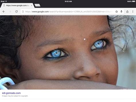 Pin by Cindy Magee on Eyes | Bright blue eyes, Blue eye color, Pretty blue eyes