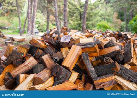 Large Pile Of Firewood Ready To Be Burnt Stock Photo Image Of