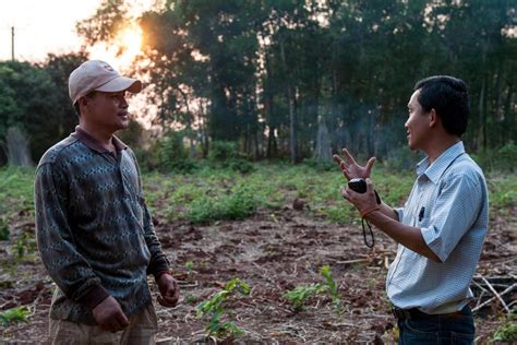 History Of Cassava Research At The Alliance