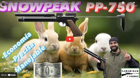 Review Snowpeak Pp Pistola Pcp Carabinas Y Visores Tienda Gamo