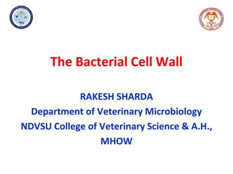 SOLUTION: Bacterial cell wall - Studypool